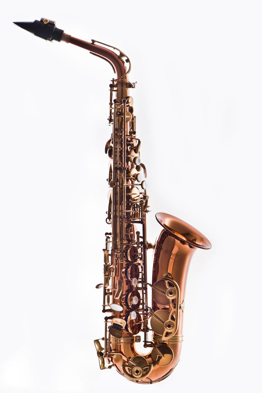 Leblanc LAS711 Alto Saxophone (LAS711DL)